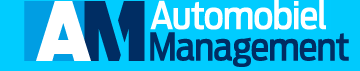 Bedrijfsautotechnicus, Groot-Ammers - Automobielmanagement