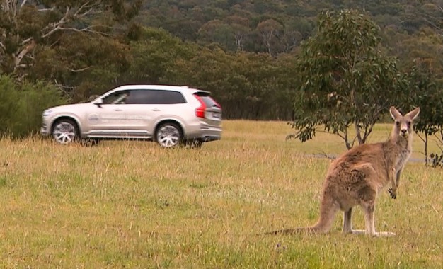 Kangoeroe een sprong te ver voor autonome Volvo