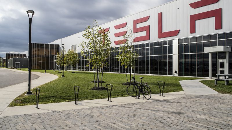 Tesla mag bos kappen voor nieuwe giga-fabriek